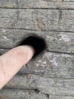 hand with a hole in a wooden surface photo
