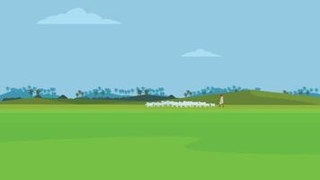Man herding sheep in green Landscape Background vector