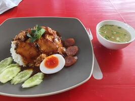 red pork and hot rice with red sauce photo