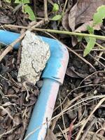 a closeup shot of a broken pipe on the ground photo