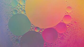 Abstract yellow, green and pink colorful background with oil on water surface. Oil drops in water abstract psychedelic, abstract image. photo