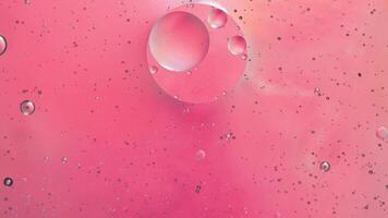 Abstract pink colorful background with oil on water surface. Oil drops in water abstract psychedelic, abstract image. photo