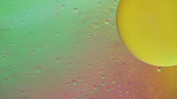 Abstract yellow and green colorful background with oil on water surface. Oil drops in water abstract psychedelic, abstract image. photo