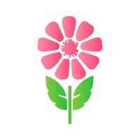 Flower of blooming plant. Garden rose isolated icon of pink blossom, petal and bud with green stem and leaf for romantic floral decoration, wedding bouquet and valentine greeting card vector