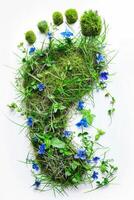 Top view human footprint with grass and wildflowers texture, isolated on white background. ecology concept, care for the environment, nature, spring and summer photo