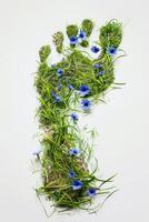 Top view human footprint with grass and wildflowers texture, isolated on white background. ecology concept, care for the environment, nature, spring and summer photo