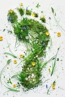 Top view human footprint with grass and wildflowers texture, isolated on white background. ecology concept, care for the environment, nature, spring and summer photo