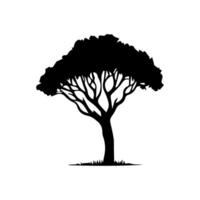 silhouette tree line drawing, graphics tree elements outline symbol for architecture and landscape design drawing. vector