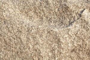 Background image of sandstone surface for use in design photo