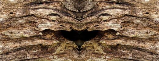 Wooden texture wallpapper with equal two-sided pattern. photo