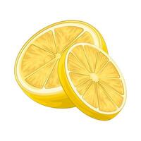 Illustration of lemon slice vector