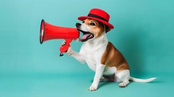 Little dog announcing using megaphone. Notifying, warning, announcement. photo