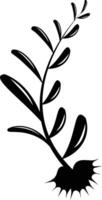 Design of Black Floral Branch with root vector