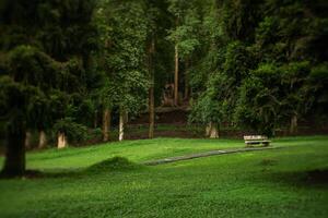 there is a bench in the middle of a grassy field photo