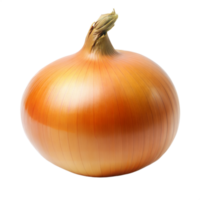 Fresh whole onion with transparent background for culinary use png