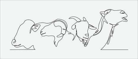Continuous one line drawing of camel, sheep, cow, and goat. Concept of livestock, eid al adha. Editable stroke. Graphic illustration. vector