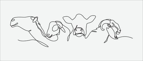 Continuous one line drawing of camel, sheep, cow, and goat. Concept of livestock, eid al adha. Editable stroke. Graphic illustration. vector