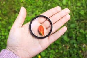 Hand holds a circular polarizer filter on summer landscape background. photo