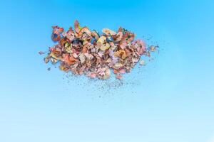 Wooden pencil shavings and colorful crumbs of graphite from sharpener on soft pastel paper background. Top view. Design elements for poster, banner, cards photo