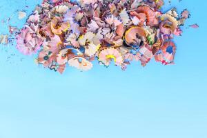 Wooden pencil shavings and colorful crumbs of graphite from sharpener on soft pastel paper background. Top view. Design elements for poster, banner, cards photo