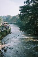 Tree branches framing a view of a large river, capturing the serene interplay between nature and water photo