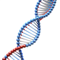 Detailed 3d render of dna helix structure on transparent background png