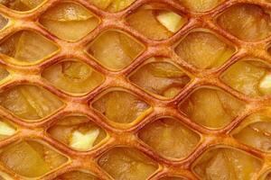 Macro shot of apple pie with custard and lattice top photo