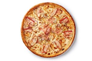 Browned pizza with cheese, bacon, onions and dried herbs photo