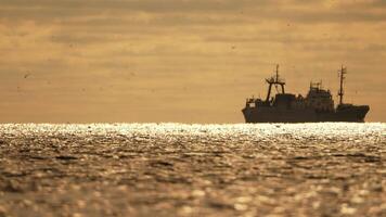 Abstract sea ocean sunset nature background with seagulls and fishing boat trawler catches fish while sailing on sea at horizon in distance sail to catch school of fish on calm sea surface in summer. video