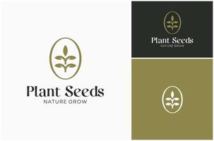 Grain Wheat Plant Seed Sapling Grow Botany Nature Luxury Label Logo Design Illustration vector