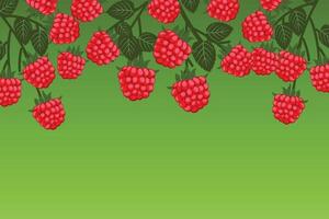 Raspberries on a branch background. Raspberry plant with ripe red raspberries on a green background. Fresh and juicy red berry on a branch. Summer concept. vector