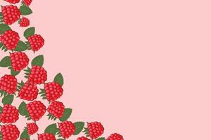 Fruit background with raspberries. Juicy ripe raspberry. Pink raspberries on a raspberry background for banner, cover, label. Suitable for advertising raspberry juice, jam, desserts. Berry background. vector