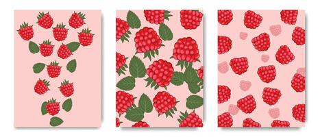 Posters with raspberries. Ripe raspberry with sepals. Raspberry close-up. Ideal for food and marketing related projects. . vector