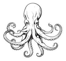 Squid ink sketch. Isolated on white background. Hand drawn illustration. vector