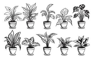 set of sketches house plants in pots on a white background vector