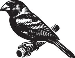 grosbeak Illustration black vector