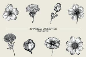 Different branches, flowers photocopy stipple effect elements. Y2K elements collection with grunge noise texture for poster design, covers, T-shirts, web design, collages. vector
