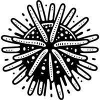 Spiny sea urchin studded with sharp spines in monochrome. Poisonous seabed inhabitant. Simple minimalistic in black ink drawing on white background vector