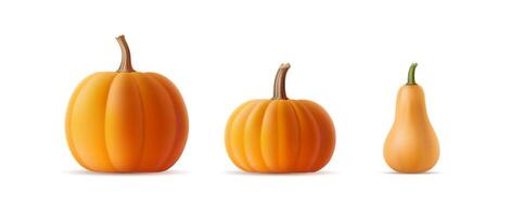 Set of 3D realistic pumpkins of various shapes and varieties on an isolated background. Volumetric squash, gourd template with shadow for Halloween party banner. Autumn vegetable illustration vector