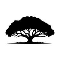 silhouette tree line drawing, graphics tree elements outline symbol for architecture and landscape design drawing. vector