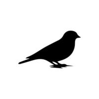 Bird Silhouette Isolated On White Background vector
