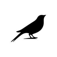 Bird Silhouette Isolated On White Background vector
