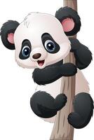 Cartoon little panda on tree branch vector