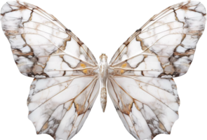 White Butterfly with Delicate Wing Patterns. png