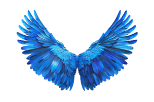 Vibrant Blue Angel Wings with Feathery Detail. png