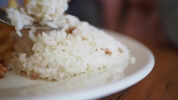 Closeup of a plate featuring white rice, French fries, and a fork, creating a delicious meal video