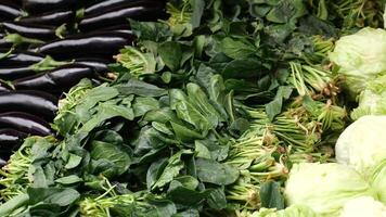 Fresh vegetables like spinach, lettuce, and eggplants are available at the market for purchase video