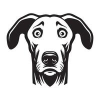 Fearful Ibizan Hound dog Illustration in black and white vector