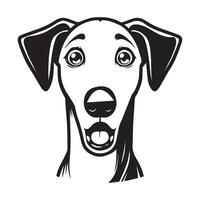 amazed Ibizan Hound dog Illustration in black and white vector