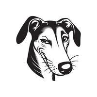 A Mischievous Ibizan Hound Dog Face Illustration in black and white vector